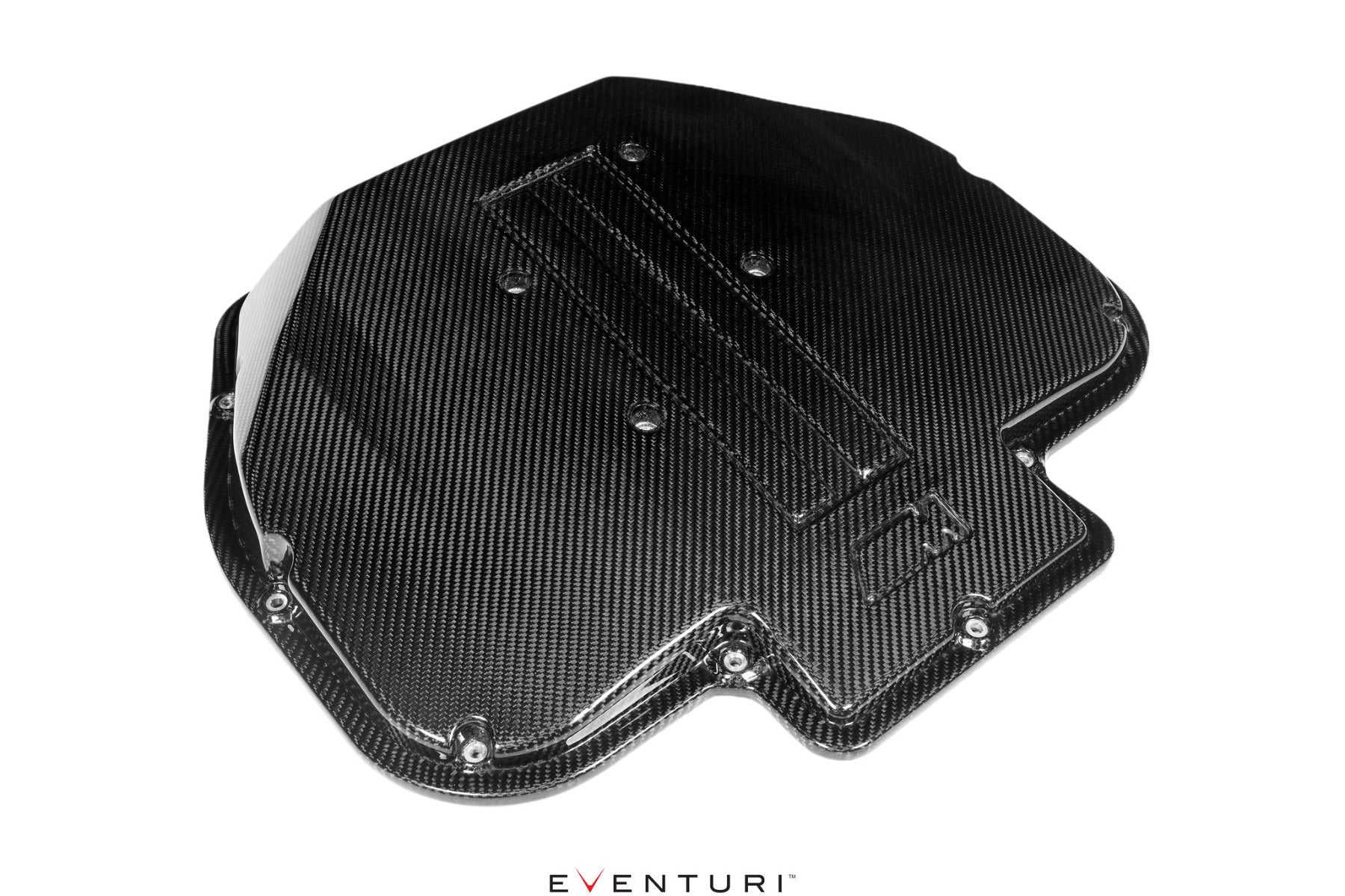 Eventuri Carbon Fibre Plenum Lid - BMW E39 M5 | Z8 (S62) - Evolve Automotive